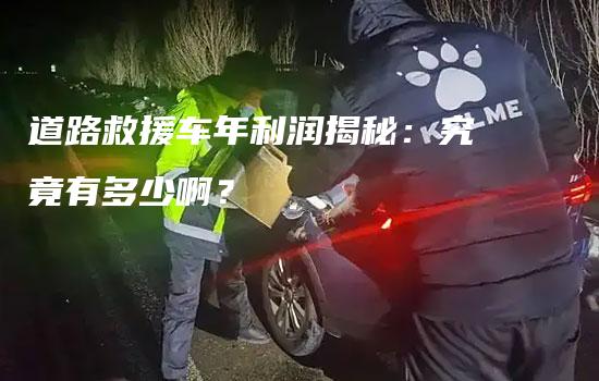 道路救援车年利润揭秘：究竟有多少啊？