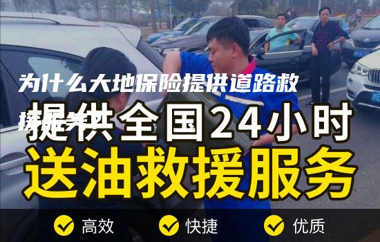 为什么大地保险提供道路救援服务？