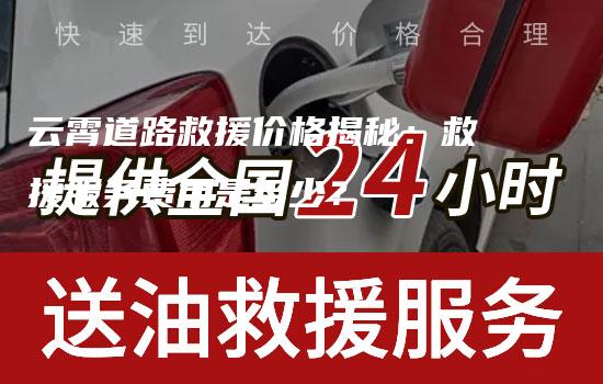 云霄道路救援价格揭秘：救援服务费用是多少？