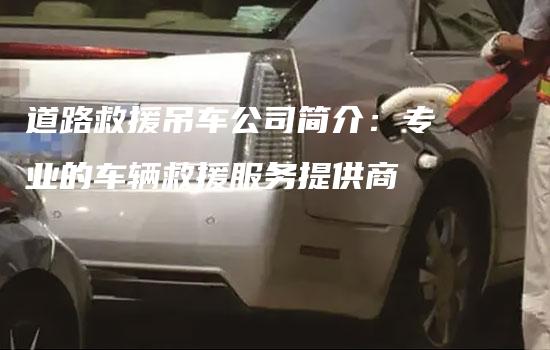 道路救援吊车公司简介：专业的车辆救援服务提供商